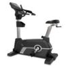 Commercial Upright Bike