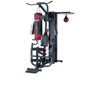 One Station Multi-gym with Punching Bag