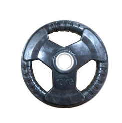Pair Of 10kg Rubber Disk Plate