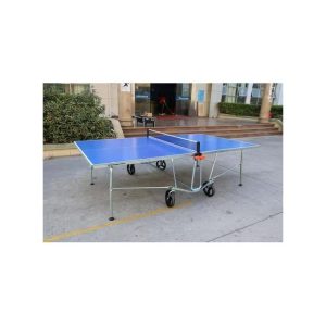 Butterfly Striker Award Winning Outdoor Table Tennis