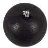 25KG SLAM BALL