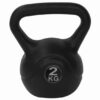 2kg Professional Kettlebell
