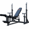 Commercial Adjustable Olympic Weight Bench