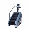 COMMERCIAL STAIR CLIMBER (DS-09)