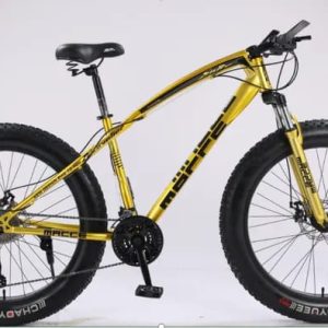 Fat Tire Bicycle