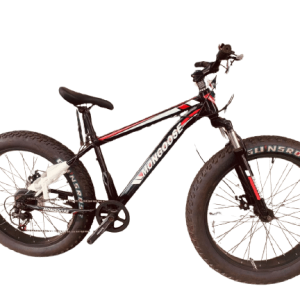 American Fat Tyre Cruiser Sports Bicycle