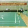 Badminton Court Mat - Image 2