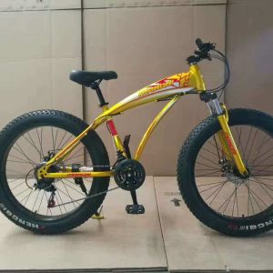 Fat Tyre Land Cruiser Outdoor Sports Bicycle