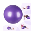 Physiotherapy Ball