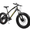Professional Fat Tyre Cruiser Sports Bicycle
