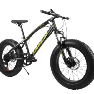 Professional Fat Tyre Cruiser Sports Bicycle