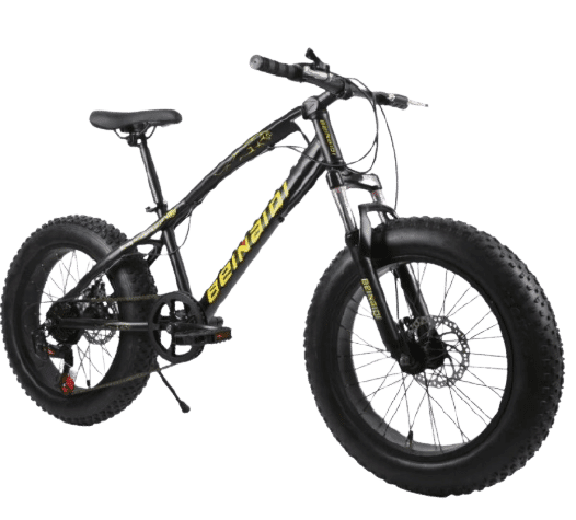 Professional Fat Tyre Cruiser Sports Bicycle