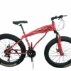 Fat Tire Cruiser Outdoor Sports Bike