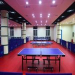 Alite A-14150 5mm Table Tennis Court Mat (Warranty: 2.5yrs) - Image 2