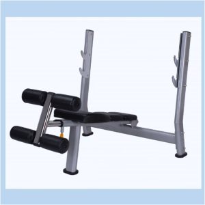 Declined Olympic Weight Bench