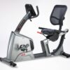 Semi-Commercial Recumbent Bike